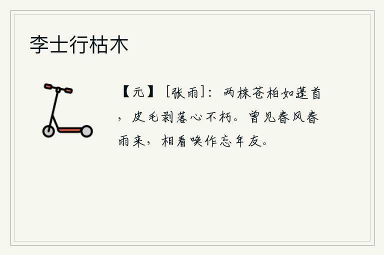 李士行枯木，两棵青苍的柏树就像蓬草一样,即使皮毛脱落了,它的心仍然坚贞不朽。曾经看见春风春雨纷纷飘来,互相凝望唤作忘年之交。