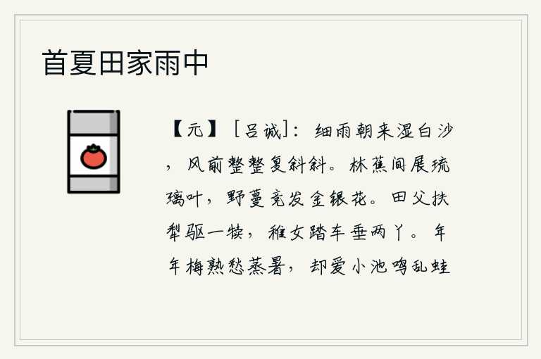 首夏田家雨中,清晨细雨打湿了沙滩,在风中一会儿整齐又一会儿斜斜。芭蕉在树林间舒展着像琉璃一样的叶子,野草的蔓枝上竞相开放如金银般鲜艳的花。农夫扶着犁赶着一头牛犊,小女孩踩着车