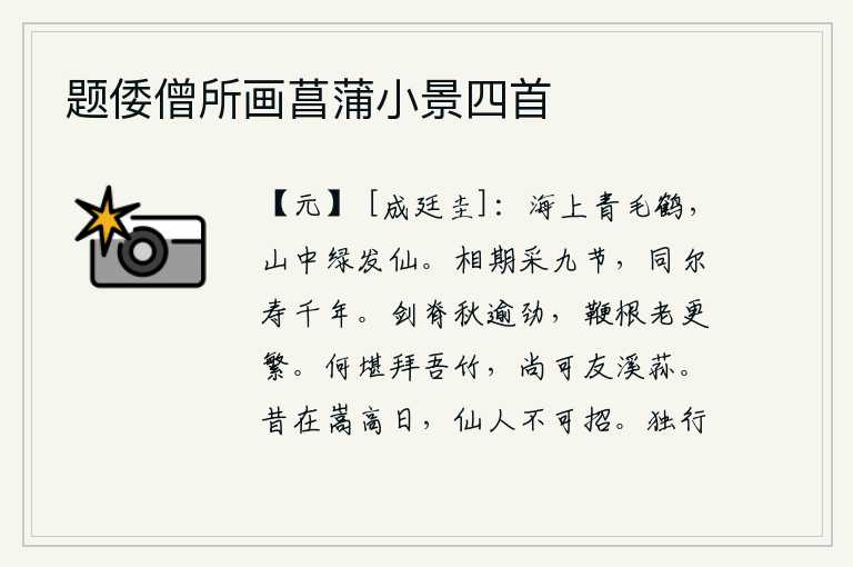 题倭僧所画菖蒲小景四首,海边的仙鹤长着青色的毛,山中的神仙长着绿发。我们相约一起采集《九节》这首诗,共同享有千年的长寿。剑脊在秋天越发刚劲,鞭根在年老时越发繁复。怎么能拜我这竹子为友呢