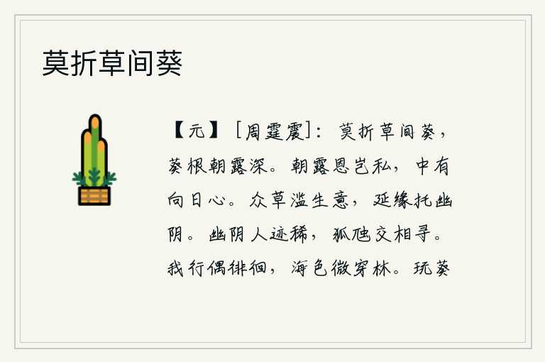 莫折草间葵